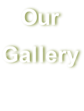 Our  Gallery